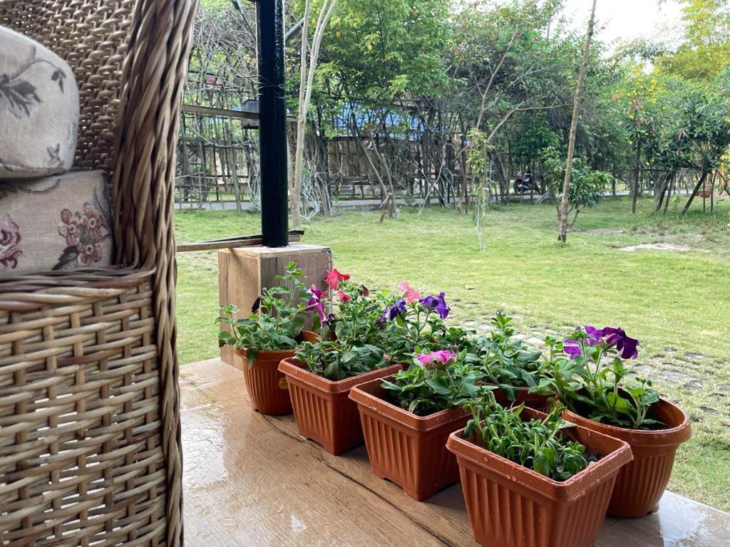 Bougainvillea Retreat & Spa Kaharpara Exteriér fotografie